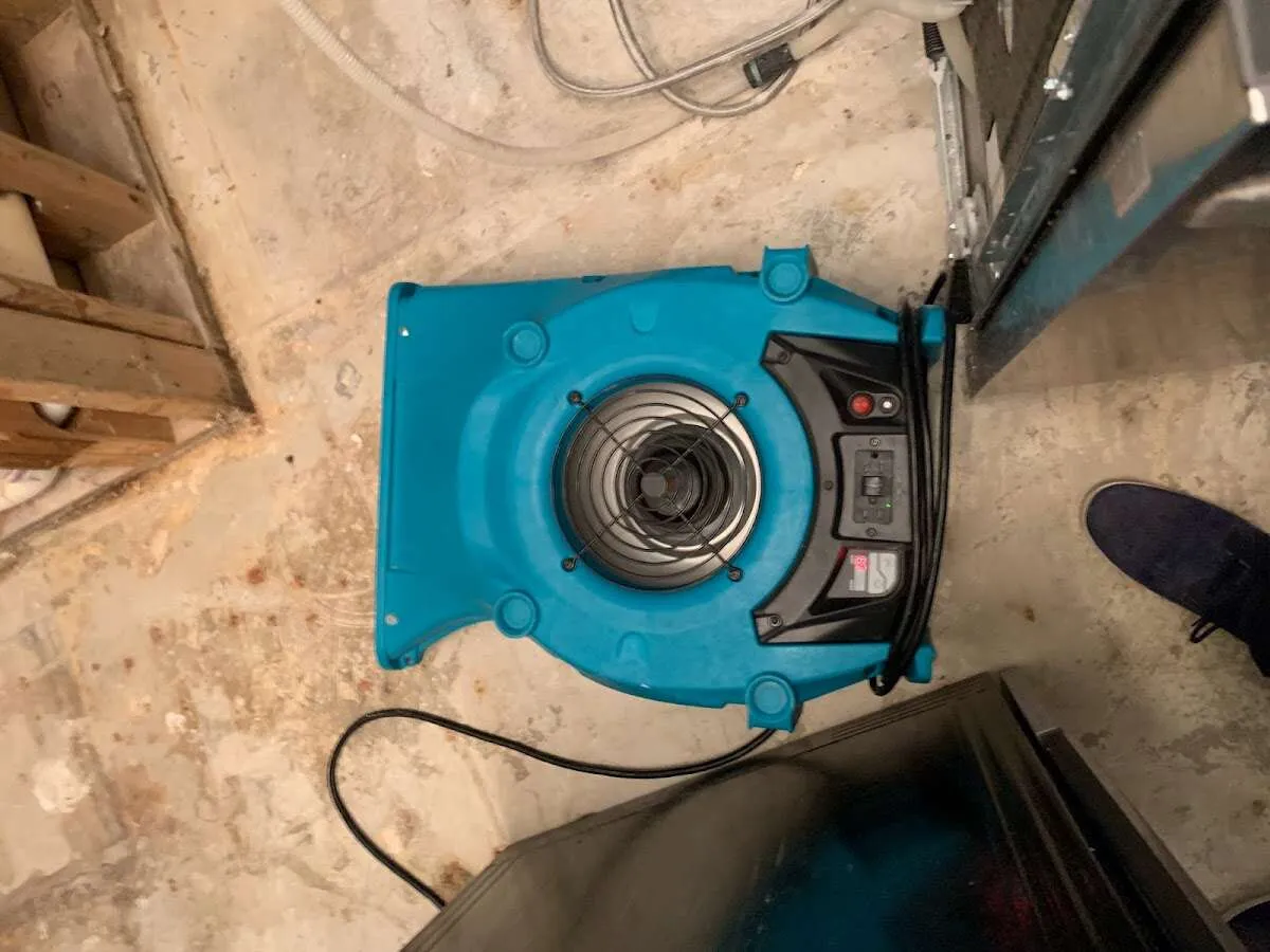 Air mover drying equipment for Mold Remediation & Removal in Berwyn